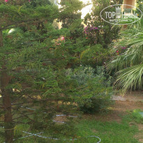 фото из отзыва ID 1956927