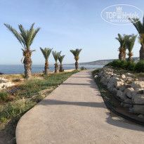 фото из отзыва ID 1956956