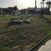 фото из отзыва ID 1956956