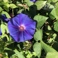 фото из отзыва ID 1956987