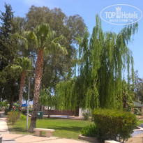 фото из отзыва ID 1956153