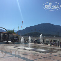 фото из отзыва ID 1957286