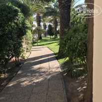 фото из отзыва ID 1957332