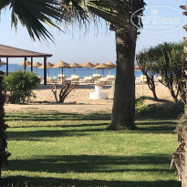 фото из отзыва ID 1957332