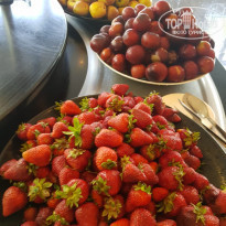 фото из отзыва ID 1957332