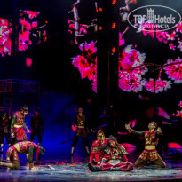 фото из отзыва ID 1957358