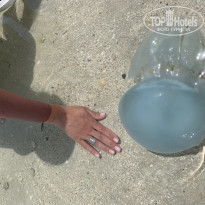 фото из отзыва ID 1957484