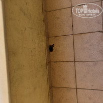 фото из отзыва ID 1957551