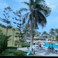 фото из отзыва ID 1957055