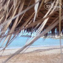 фото из отзыва ID 1957003