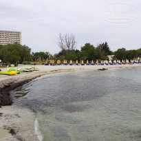 фото из отзыва ID 1957753