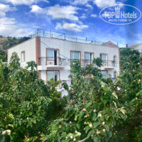 фото из отзыва ID 1957755