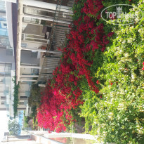 фото из отзыва ID 1957271