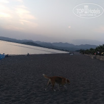 фото из отзыва ID 1957827