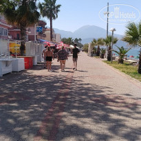 фото из отзыва ID 1957827