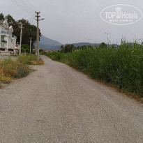 фото из отзыва ID 1957827