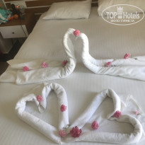 фото из отзыва ID 1957936