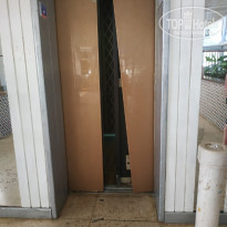 фото из отзыва ID 1957981