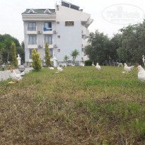 фото из отзыва ID 1957991