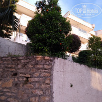 фото из отзыва ID 1958005