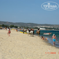 фото из отзыва ID 1958102