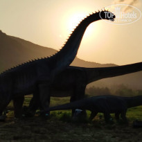 фото из отзыва ID 1958119