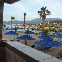 фото из отзыва ID 1958092