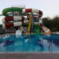 фото из отзыва ID 1958189