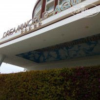 фото из отзыва ID 1958189