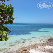 фото из отзыва ID 1958222