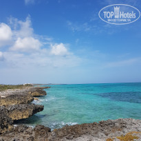 фото из отзыва ID 1958222