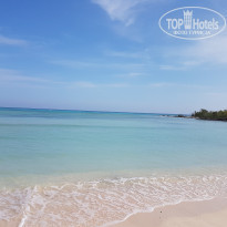 фото из отзыва ID 1958222