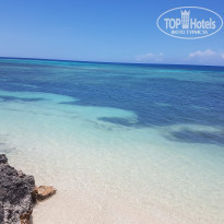 фото из отзыва ID 1958222