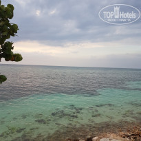 фото из отзыва ID 1958222