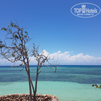 фото из отзыва ID 1958222