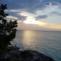 фото из отзыва ID 1958222