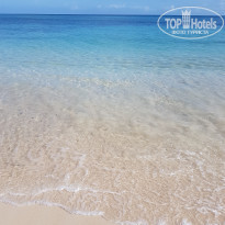 фото из отзыва ID 1958222