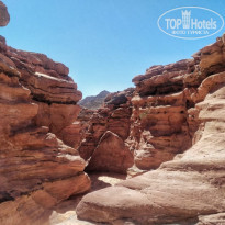 фото из отзыва ID 1958328