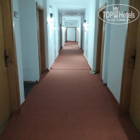 фото из отзыва ID 1958336