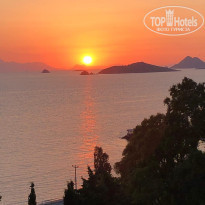 фото из отзыва ID 1958386