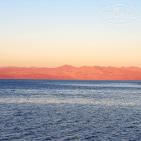 фото из отзыва ID 1958446