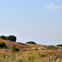 фото из отзыва ID 1958554