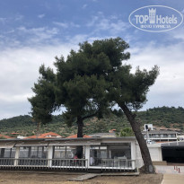 фото из отзыва ID 1958599