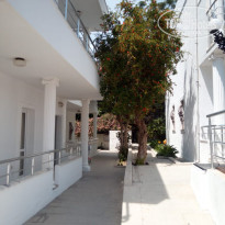 фото из отзыва ID 1958654