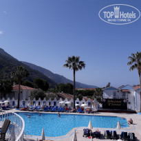 фото из отзыва ID 1958703