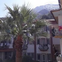 фото из отзыва ID 1958703