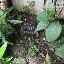 фото из отзыва ID 1958683