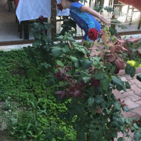 фото из отзыва ID 1958683