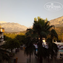 фото из отзыва ID 1958830