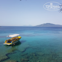 фото из отзыва ID 1958825